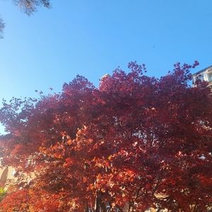 Meet your Posher, Arielle